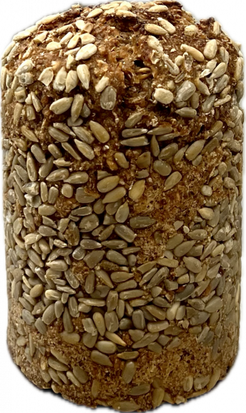 Kornpoller Sonnenblume